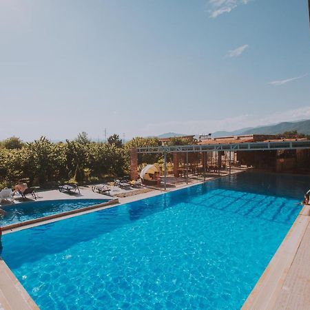 Twins Wine House Hotel Napareuli ภายนอก รูปภาพ