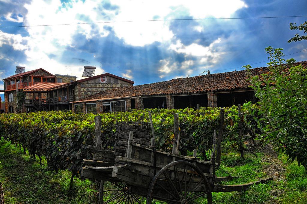 Twins Wine House Hotel Napareuli ภายนอก รูปภาพ