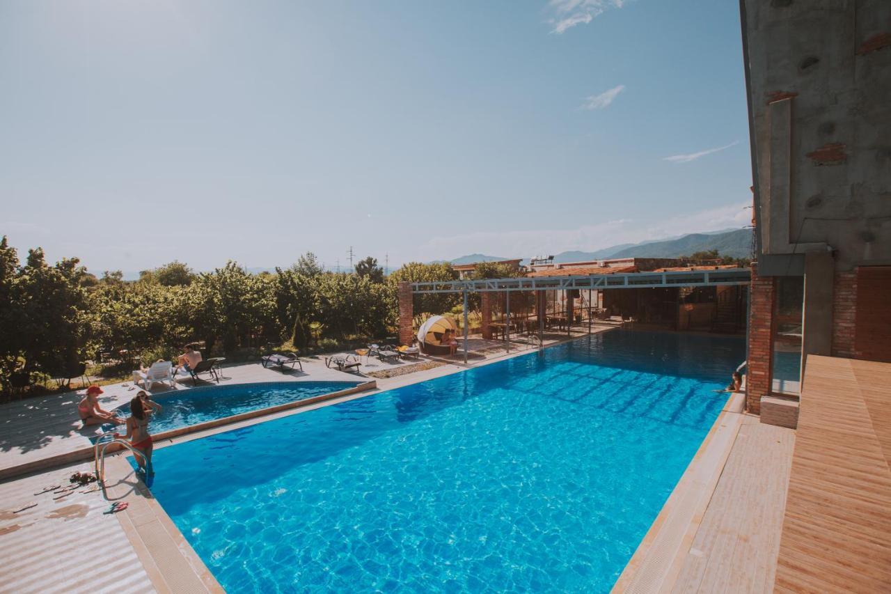 Twins Wine House Hotel Napareuli ภายนอก รูปภาพ