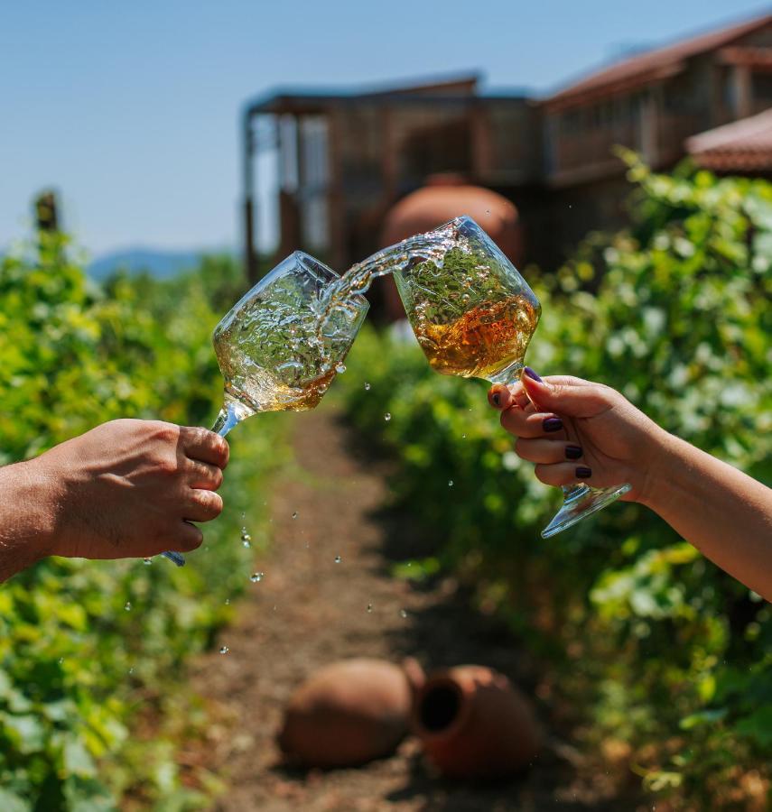 Twins Wine House Hotel Napareuli ภายนอก รูปภาพ