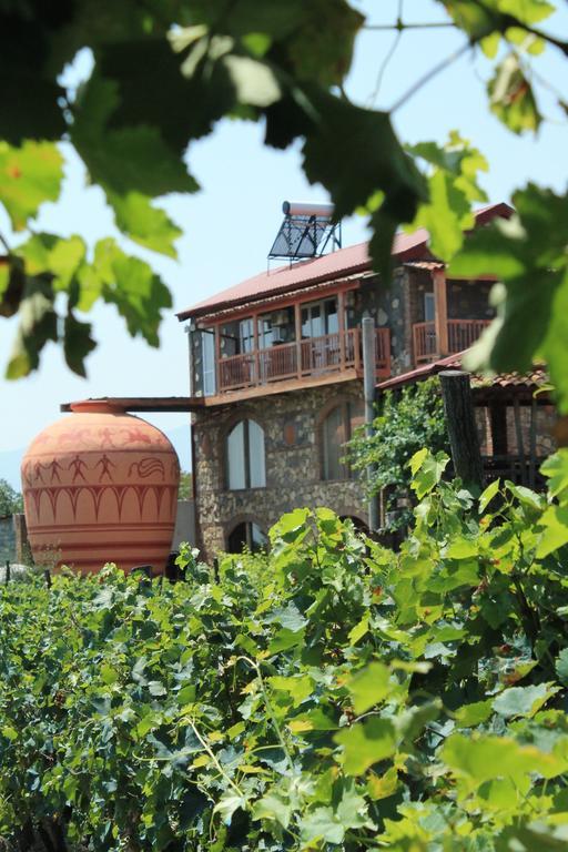 Twins Wine House Hotel Napareuli ภายนอก รูปภาพ