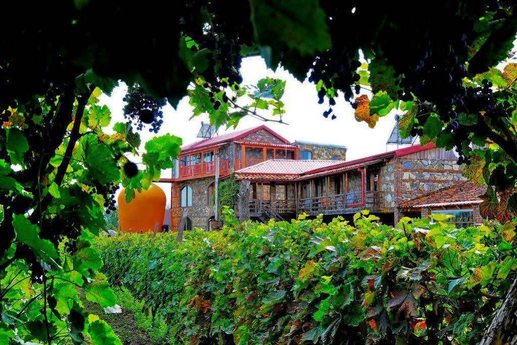 Twins Wine House Hotel Napareuli ภายนอก รูปภาพ