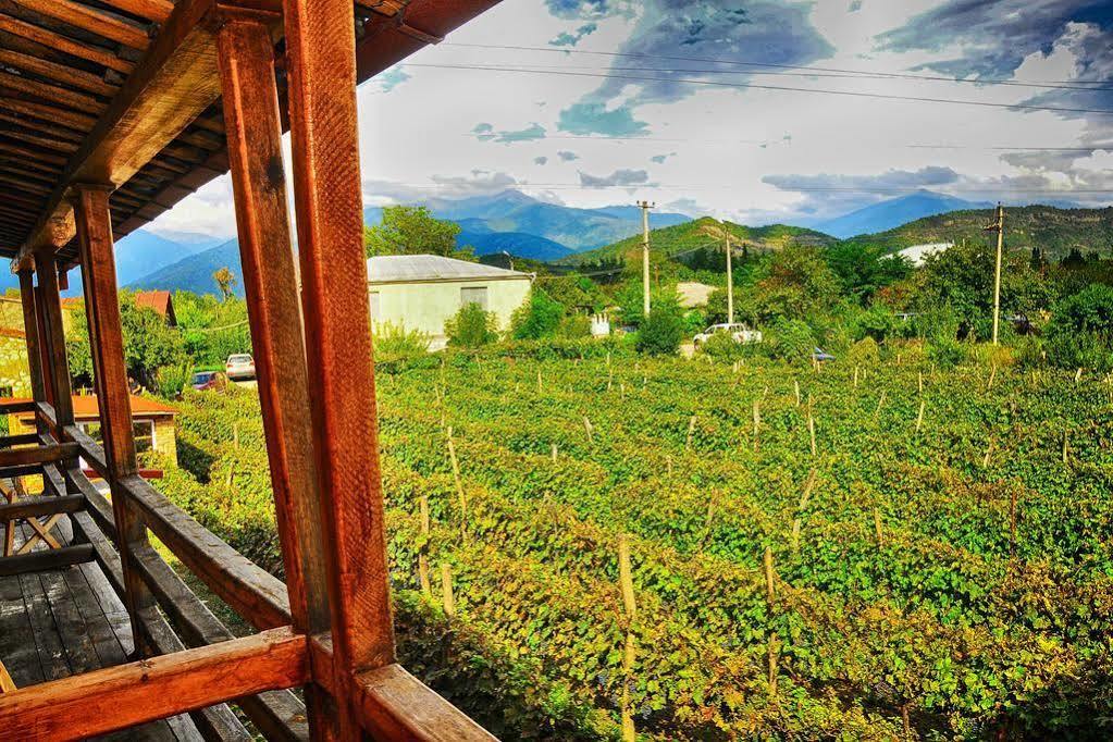 Twins Wine House Hotel Napareuli ภายนอก รูปภาพ