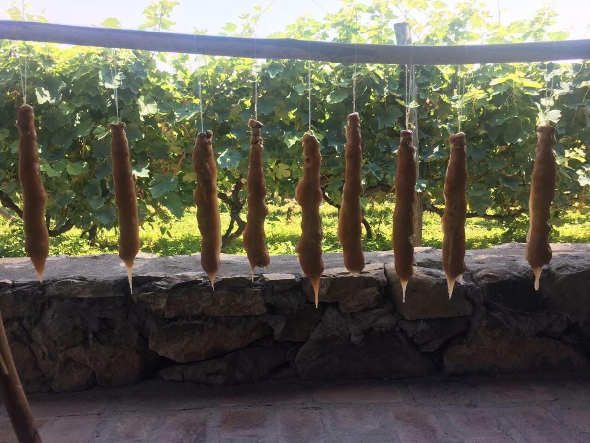 Twins Wine House Hotel Napareuli ภายนอก รูปภาพ