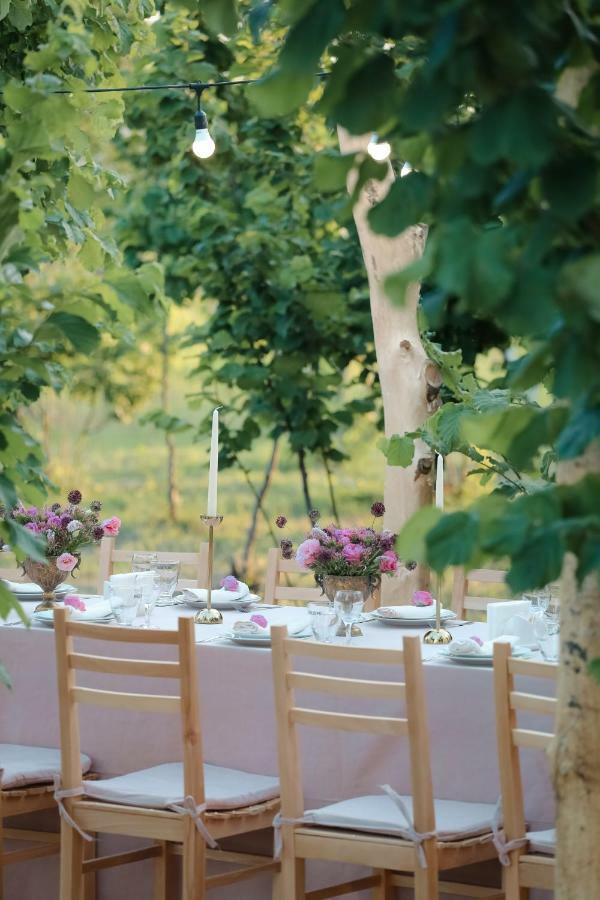 Twins Wine House Hotel Napareuli ภายนอก รูปภาพ