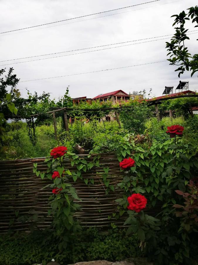 Twins Wine House Hotel Napareuli ภายนอก รูปภาพ