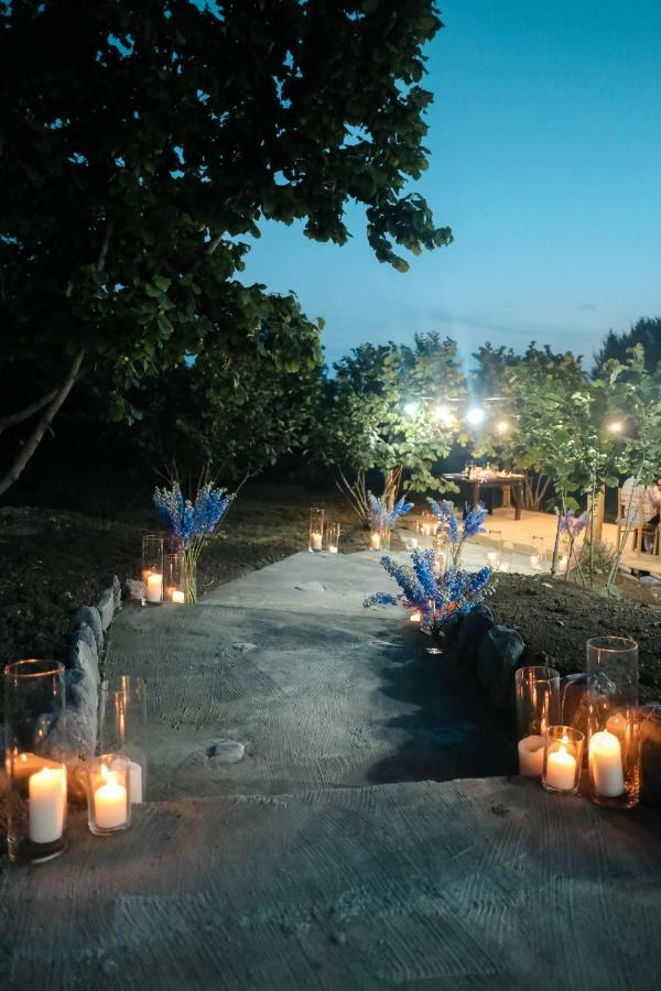 Twins Wine House Hotel Napareuli ภายนอก รูปภาพ